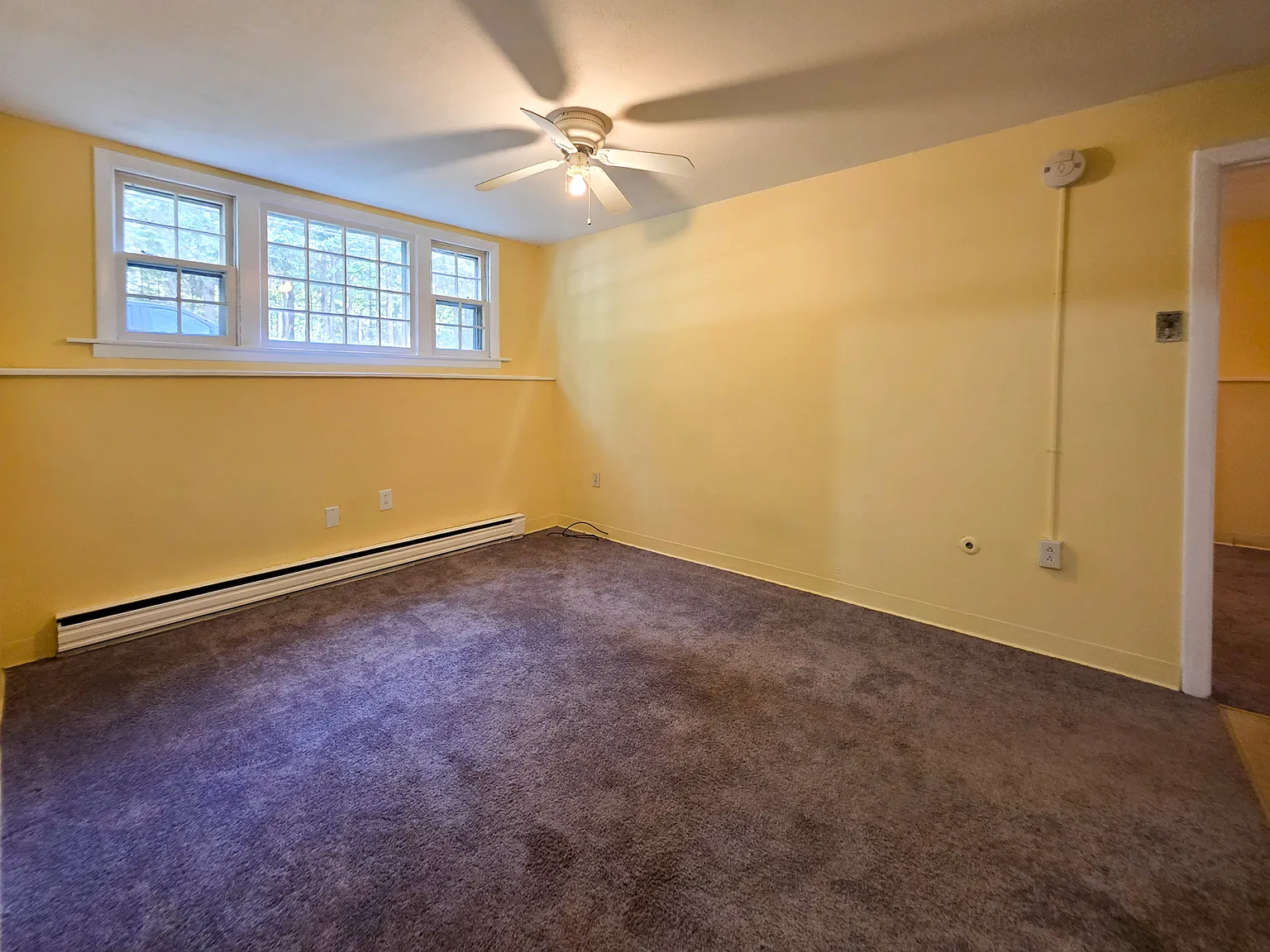 20-22 Mitchell Street - 20A — Photo 2