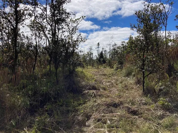 Omeka Rd Lot 22, Volcano, HI 96785