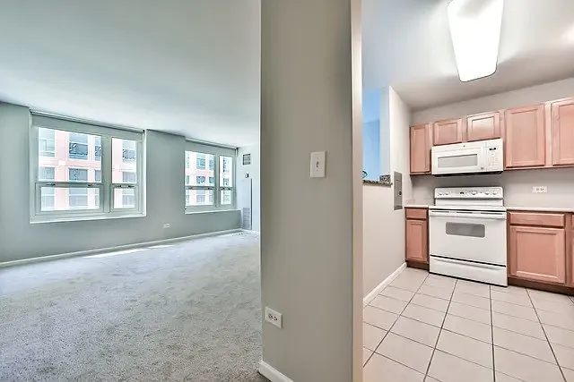 345 N La Salle Dr #609 — Photo 3