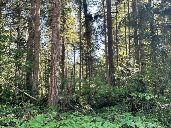 11825 112th Avenue, Anderson Island, WA 98303