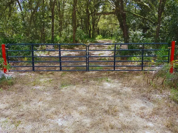 0 Butternut Dr, Webster, FL 33597