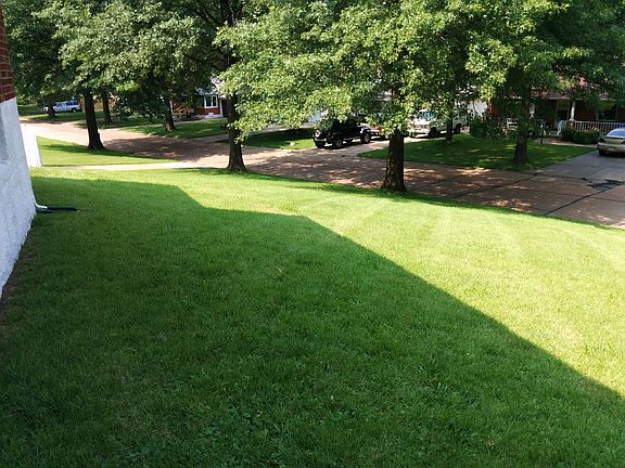 Side yard