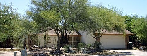 Mature Shade Trees!