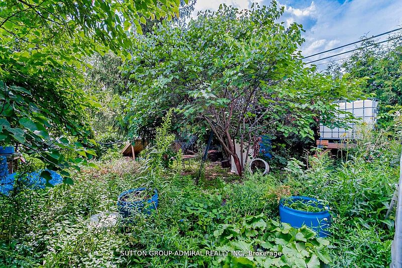 Brampton House for rent - 3 Bedrooms — photo 17