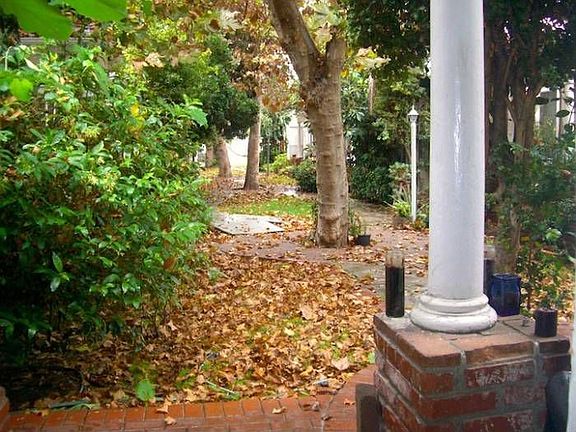 our courtyard during fall