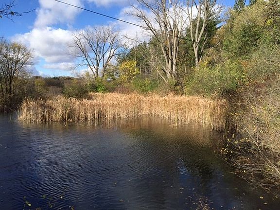 Several Spring fed Ponds