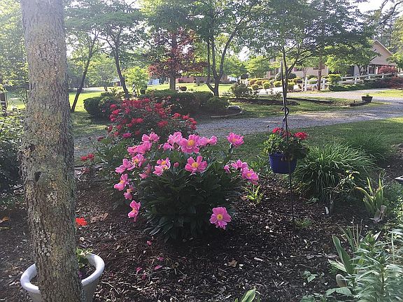 View from front porch.