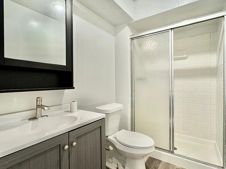 Bathroom 2 (lower level)