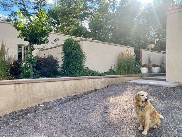 Courtyard entrance with Golden Retriever welcoming committee