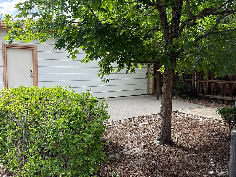 fenced backyard