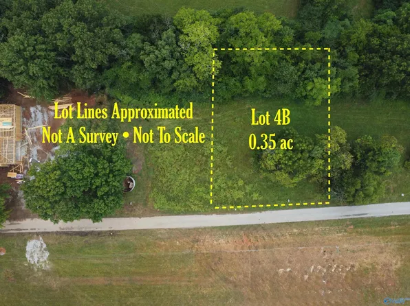 LOT 4B Taylor Rd, Elkmont, AL 35620