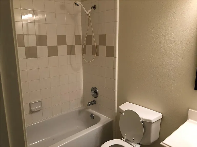 20215 Mammoth Falls Dr — Photo 12