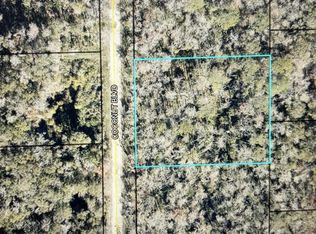 1817 Coconut Blvd, Bunnell, FL 32110