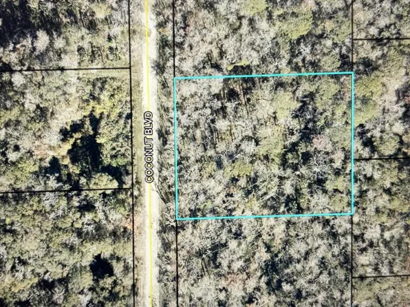 1817 Coconut Blvd, Bunnell, FL 32110