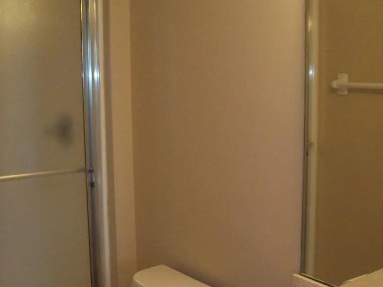 Lower level 3rd bathroom