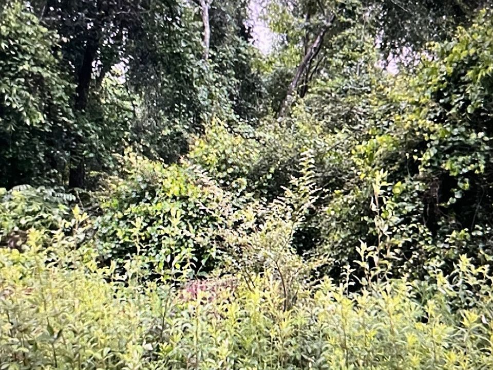 1st image of 0 Fernwood Dr