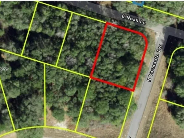 684 E Noah Ln, Citrus Springs, FL 34434