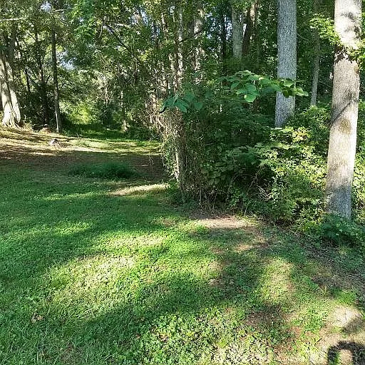 3 bed, 1164 sqft, $1,550 — Photo 4