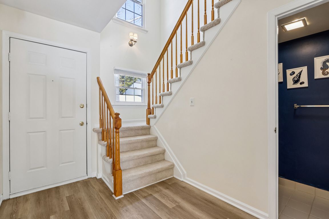 Apple Dr-S0602-001.jpg