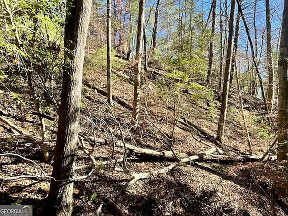 4th image of 0 Corinth Church Rd