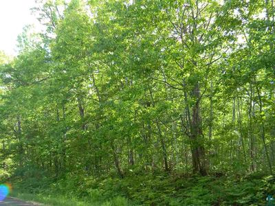 0 Oakdale Rd, Solon Springs, WI, 54873