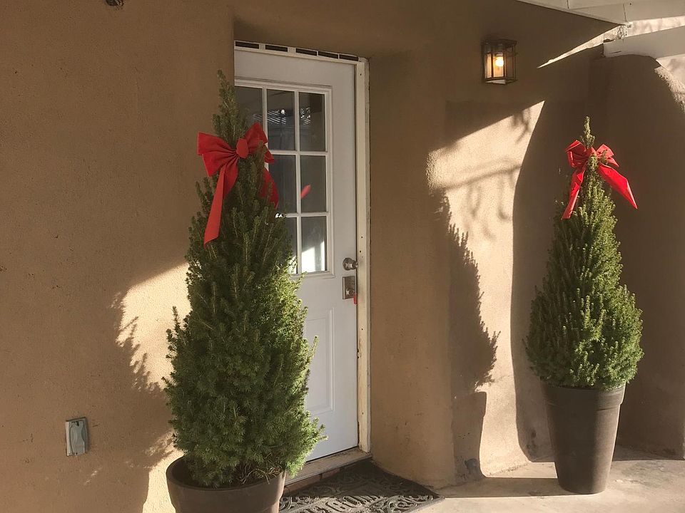 Entry Door and Covered Portal