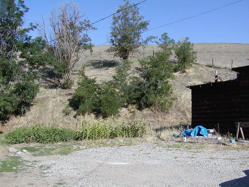 2nd image of 123 3rd St Cir