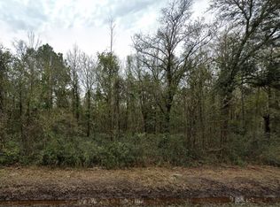 4605 David St, Hastings, FL 32145