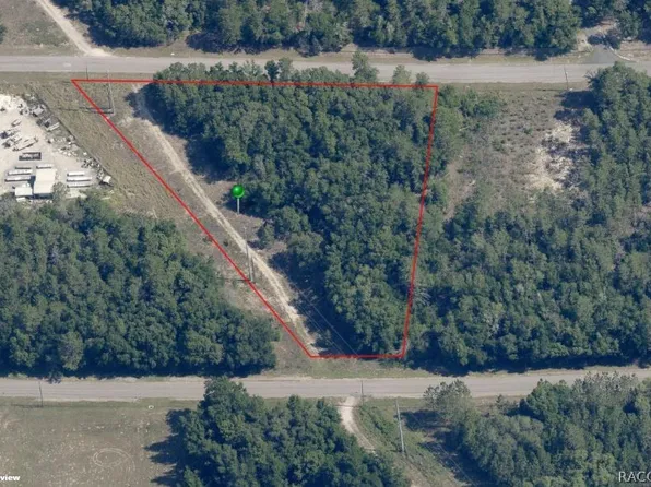691 E Overdrive Cir, Hernando, FL 34442