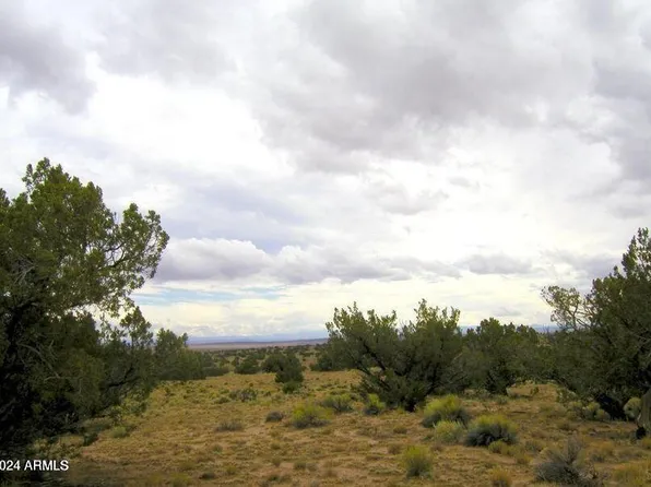 22 CR N7101 -- #109, St Johns, AZ 85936