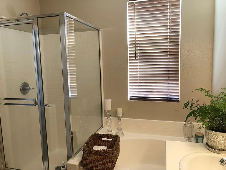 Master Bath Shower & Soaking Tub