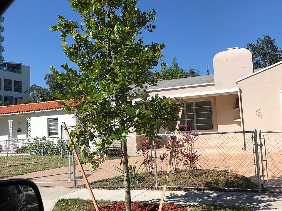 Street view without tree