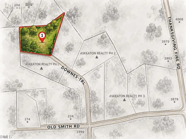 50 Downes Trl Lot 1-A, Selma, NC 27576