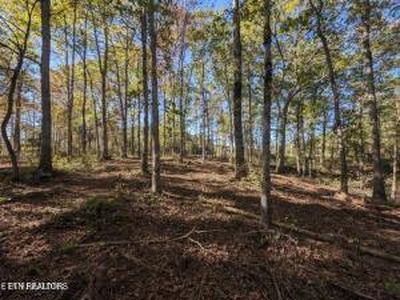 239 Sewell Dr, Allardt, TN, 38504