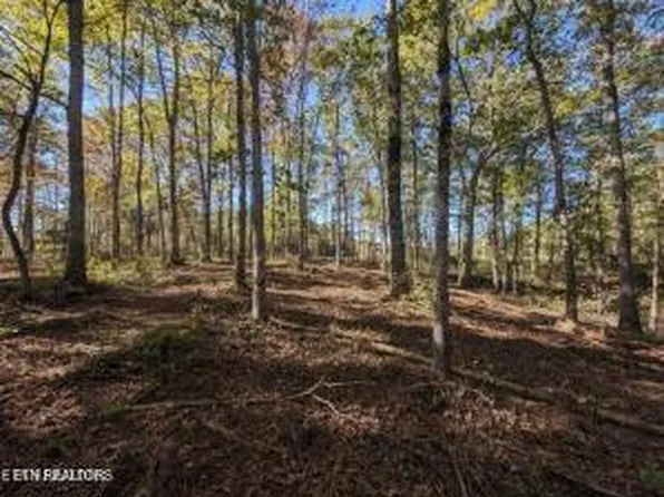 239 Sewell Dr, Allardt, TN 38504