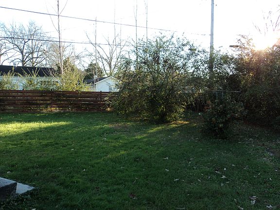 back yard