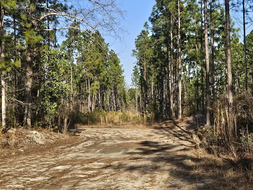 1st image of 0 Mill Branch Club Rd Lot 1R