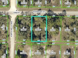 9442 Rousseau St, Webster, FL 33597