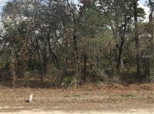 14448 Missouri Skylark Rd, Weeki Wachee, FL 34614