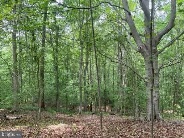 7575 Mason Springs Rd, La Plata, MD 20646