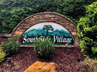 99 Southside Village Dr, Asheville, NC 28803