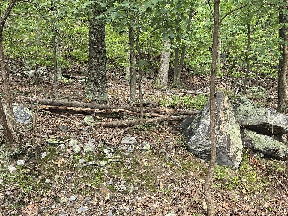 2nd image of 0 Thrush Ln