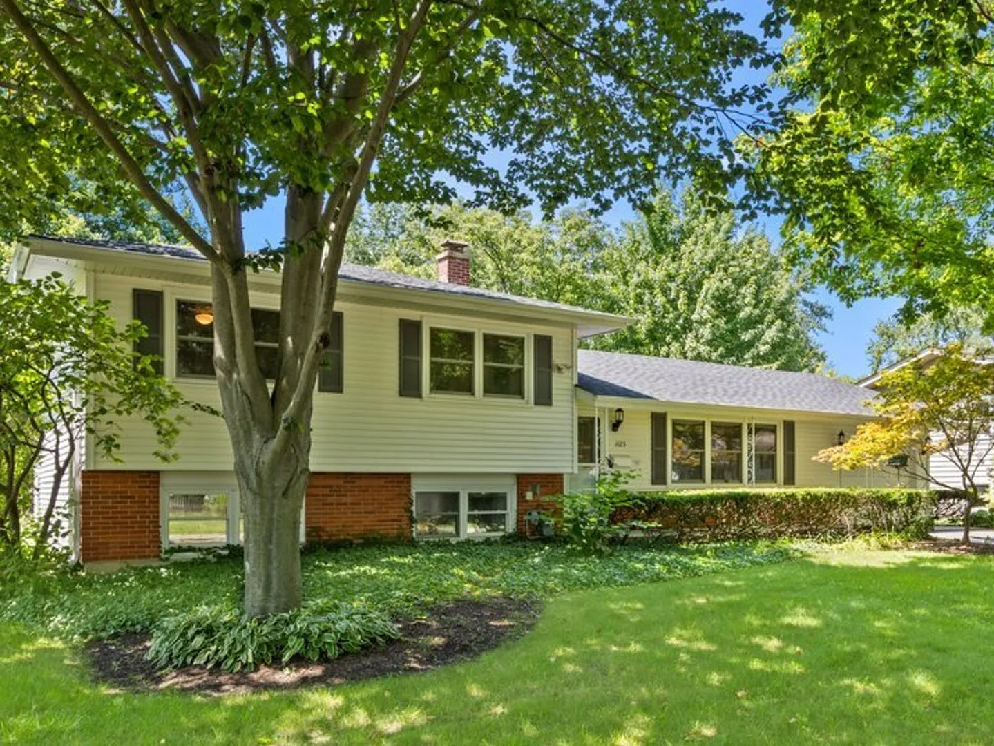 1125 Emerald Dr photo 1