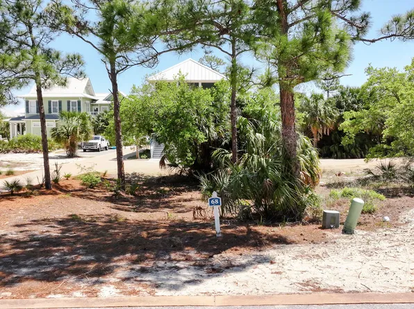 338 Cord Grass Way, Port Saint Joe, FL 32456