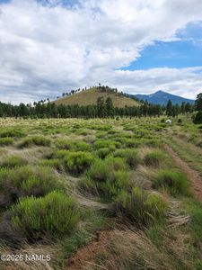 21 Fun Valley Rd, Flagstaff, AZ, 86001