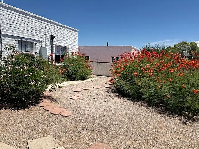 Large Backyard