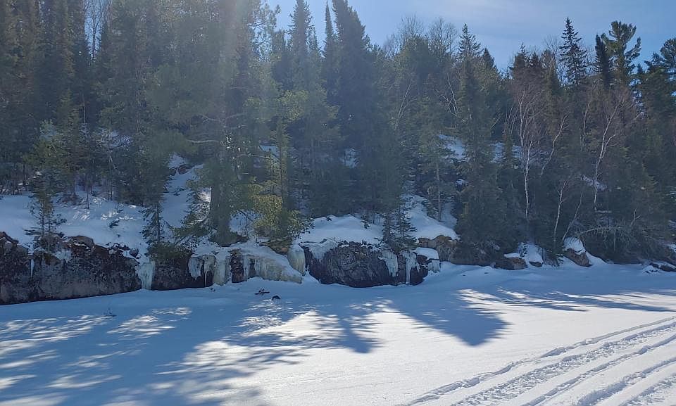 1st image of 7.8 Bear Is N