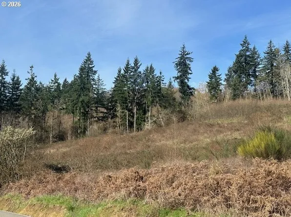 0 NE Jenny Creek Rd, La Center, WA 98629