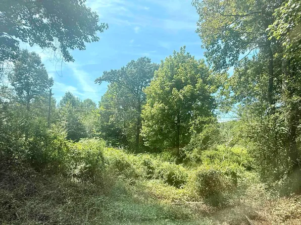County Road 1825, Arab, AL 35016