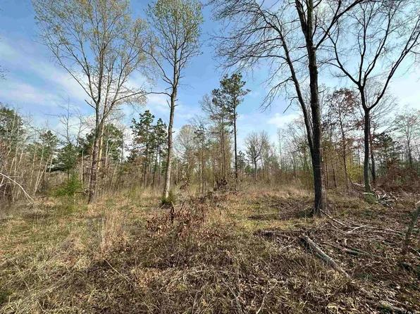 Acr 1233, Palestine, TX 75801